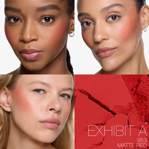 NARS Blush 4,8 g Exhibit A 2