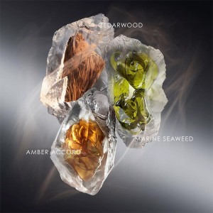 Issey Miyake Le Sel D´Issey Eau de Parfum 100ml kvepalai vyrams 2