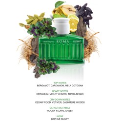 Laura Biagiotti Roma Uomo Green Swing EDT kvepalai vyrams, 40 ml