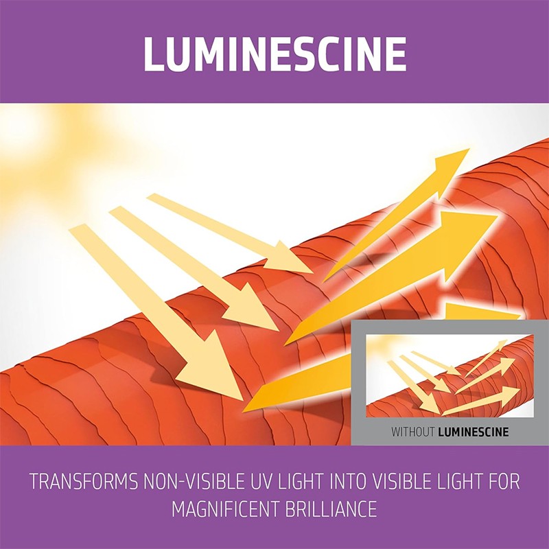 Goldwell Dualsenses Blondes & Highlights Anti-Brassiness Conditioner 1000 ml