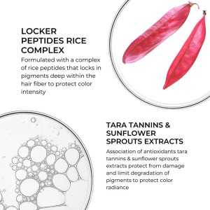 Phyto Professional Color Radiance Enhancer Conditioner 175 ml 2