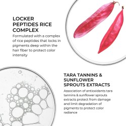 Phyto Professional Color Radiance Enhancer Conditioner 175 ml