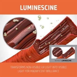 Goldwell Cool Brown Dualsenses Color Revive Color Giving Shampoo 250 ml