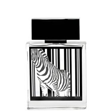 Rasasi Rumz Al Rasasi 9325 Pour Lui EDP kvepalai vyrams, 50 ml