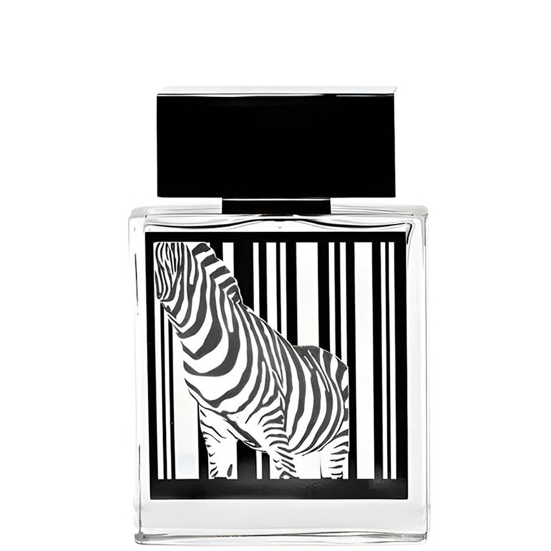 Rasasi Rumz Al Rasasi 9325 Pour Lui EDP kvepalai vyrams, 50 ml