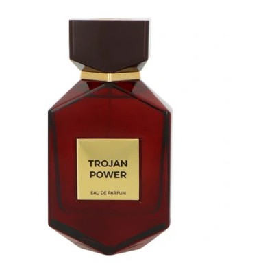 Camara Perfumes Trojan Power EDP 100ml