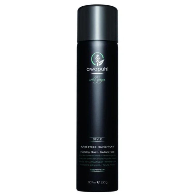 Paul Mitchell Awapuhi Wild Ginger Style Anti- Frizz Hairspray 307 ml