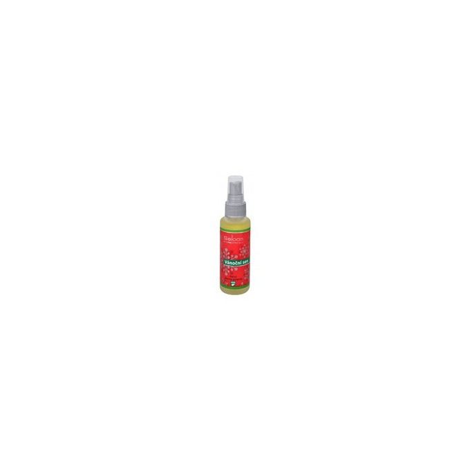 Saloos Natur aroma Airspray - Christmas Dream (natural air freshener) 50ml