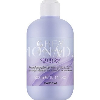 Inebrya Inebrya Grey By Day Shampoo 300 ml