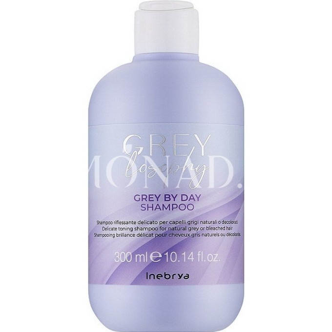 Inebrya Inebrya Grey By Day Shampoo 300 ml