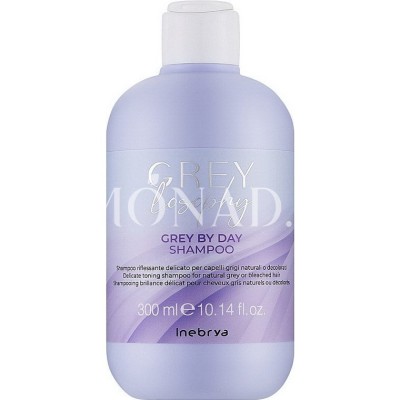 Inebrya Inebrya Grey By Day Shampoo 300 ml