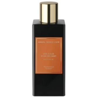 Angel Schlesser Les Eaux D´Un Instant Absolu Mysterious Amber EDP 100ml