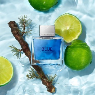 Antonio Banderas Blue Seduction for Man EDT kvepalai vyrams, 100 ml 2