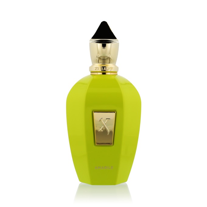 Xerjoff " V " Amabile EDP kvepalai unisex, 100 ml