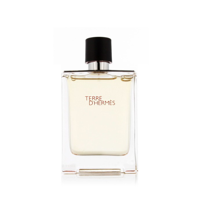 Hermès Terre D'Hermès EDT Tester kvepalai vyrams, 100 ml