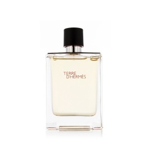 Hermès Terre D'Hermès EDT Tester kvepalai vyrams, 100 ml