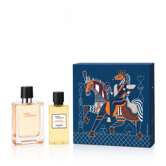 Hermès Terre D'Hermès EDT 100 ml + SG for Body & Hair 80 ml – rinkinys vyrams
