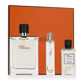 Hermès Terre D'Hermès EDT 100 ml + EDT 15 ml + SG for Body & Hair 40 ml – rinkinys vyrams
