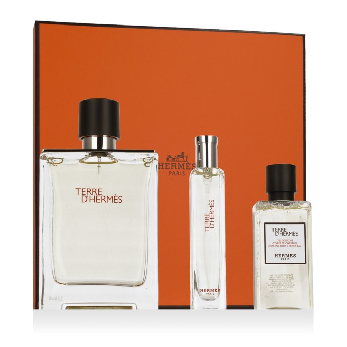 Hermès Terre D'Hermès EDT 100 ml + EDT 15 ml + SG for Body & Hair 40 ml – rinkinys vyrams