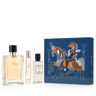Hermès Terre D'Hermès EDT 100 ml + EDT 15 ml + AS 40 ml – rinkinys vyrams