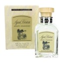 Adolfo Dominguez Adolfo Dominguez Agua Fresca EDT kvepalai vyrams, 120 ml
