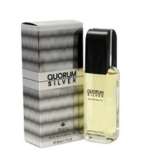 Antonio Puig Quorum Silver EDT kvepalai vyrams, 100 ml