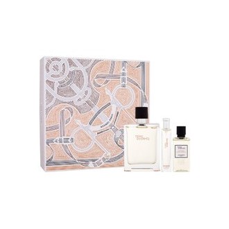 Hermes Terre d'Hermes Gift set EDT 100 ml, miniature EDT 15 ml and shower gel 40 ml 100ml
