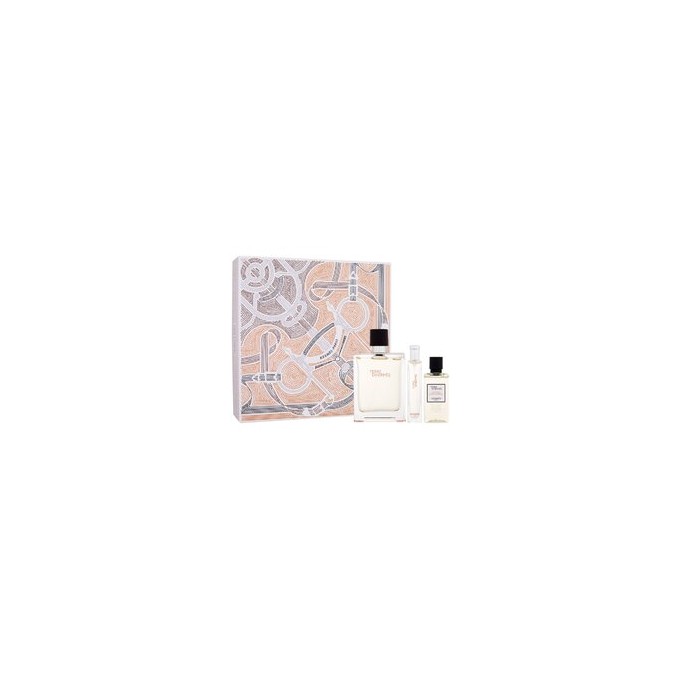 Hermes Terre d'Hermes Gift set EDT 100 ml, miniature EDT 15 ml and shower gel 40 ml 100ml