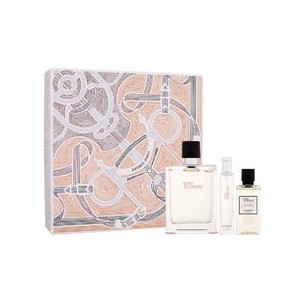 Hermes Terre d'Hermes Gift set EDT 100 ml, miniature EDT 15 ml and shower gel 40 ml 100ml