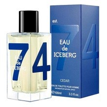 Iceberg Eau de Iceberg Cedar pour Homme EDT kvepalai vyrams, 100 ml