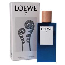 Loewe 7 Loewe EDT kvepalai vyrams, 100 ml