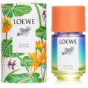 Loewe Paula's Ibiza Eclectic EDT unisex kvepalai, 50 ml